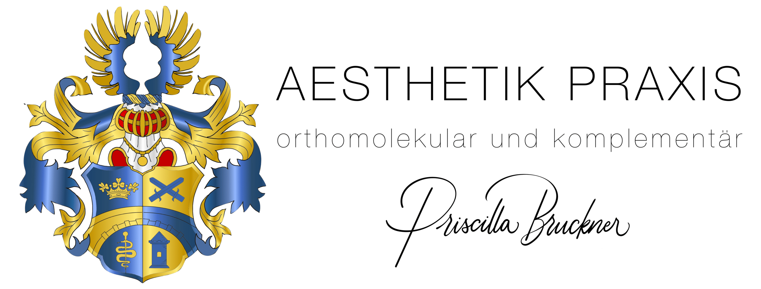 AESTHETIC Praxis